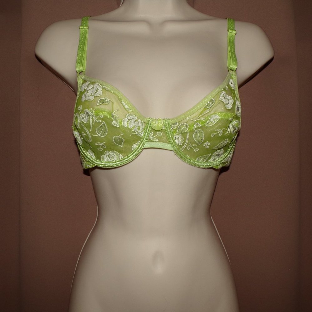 Sexy Diana Secret Green Sheer Bra with applique Size 34B